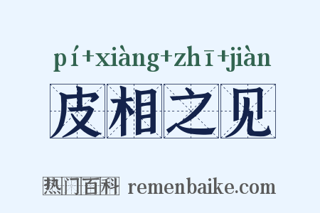皮相之见是什么意思的图片